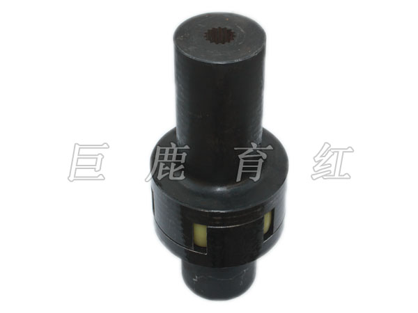 TR100 Coupling  15302816