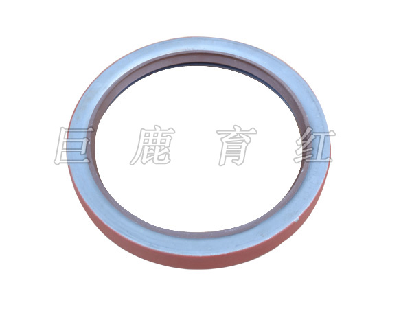 TR100 Oil seal  23046430