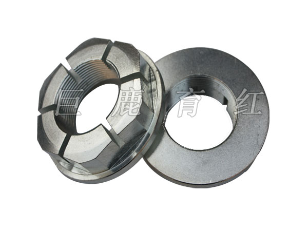 TR50   Slotted nut    09227330